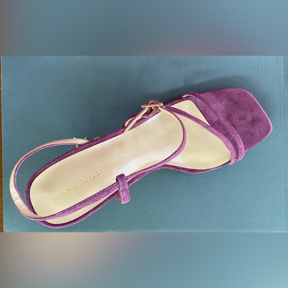Ann Taylor Plum Heels